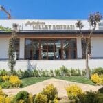 zeytinburnu_milletsofrası