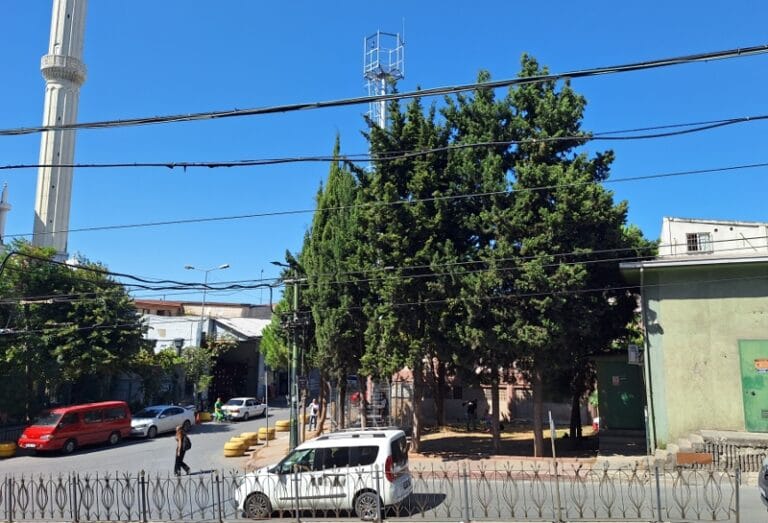 1000262954